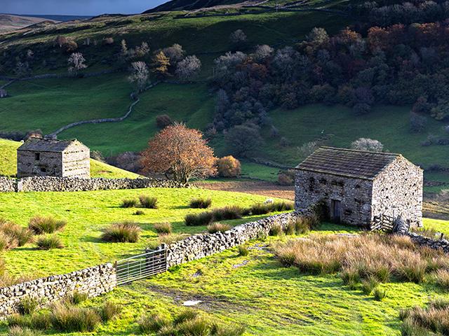 Yorkshire Dales in the Autumn: landscape photography tour with Don Bishop